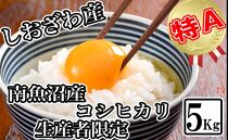 【令和7年産】【生産者限定&nbsp;契約栽培】南魚沼しおざわ産コシヒカリ5kg