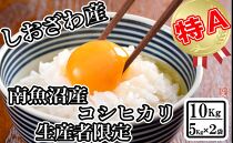 【令和7年産】【生産者限定&nbsp;契約栽培】南魚沼しおざわ産コシヒカリ10kg（5kg×2袋）