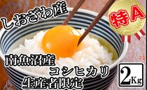 【令和7年産】【生産者限定&nbsp;契約栽培】南魚沼しおざわ産コシヒカリ2kg