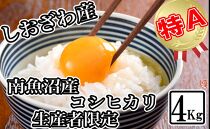 【令和7年産】【生産者限定&nbsp;契約栽培】南魚沼しおざわ産コシヒカリ4kg