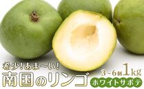 希少！あま～い南国のリンゴ【ホワイトサポテ】1kg（3～6個）