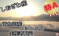 【令和7年産】【定期便／20kg×3ヶ月】生産者限定&nbsp;契約栽培&nbsp;南魚沼しおざわ産コシヒカリ
