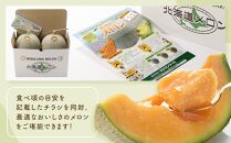 とれたて旬鮮便～北海道旭川市から旬の定期便～【 野菜 アスパラ グリーンアスパラ アスパラガス ゴールドラッシュ とうもろこし 赤肉 メロン フルーツ 果物 旭川市ふるさと納税 北海道ふるさと納税 旭川市 北海道 お取り寄せ 送料無料 定期便 頒布会 冷蔵配送 クール便 】_01107