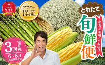 【2026年発送先行予約】とれたて旬鮮便～北海道旭川市から旬の定期便～【 野菜 アスパラ グリーンアスパラ アスパラガス ゴールドラッシュ とうもろこし 赤肉 メロン フルーツ 果物 旭川市ふるさと納税 北海道ふるさと納税 旭川市 北海道 お取り寄せ 定期便 頒布会 冷蔵配送 クール便 】 _01107