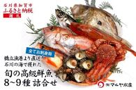 石川県・加賀市 旬の鮮魚 ( 刺身用/下処理済 ) 詰合せ 8～9種