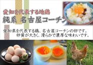 【3か月定期便】日本三大地鶏！！ 「純系　名古屋コーチンの卵」（30個）　本当に美味しい食べ物は調味料の味に負けません！