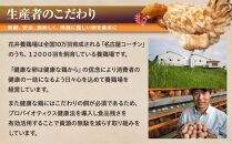 【3か月定期便】日本三大地鶏！！&nbsp;「純系　名古屋コーチンの卵」（30個）　本当に美味しい食べ物は調味料の味に負けません！