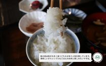 頒布会【令和7年新米～】玄米5kg×6回 南魚沼産新之助※令和7年10月中旬から順次発送＜6ヶ月定期便＞農家直送_AG