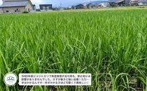 定期便【令和8年産新米予約】精米5kg×3回&nbsp;南魚沼産新之助【令和8年10月中旬から1ヶ月以内に順次発送予定】＜3ヶ月定期便＞農家直送_AG