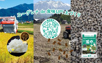 定期便【令和8年産新米予約】精米5kg×6回&nbsp;南魚沼産ぴかまる&nbsp;金賞受賞（米・食味分析鑑定コンクール）【令和8年11月上旬から1ヶ月以内に順次発送予定】＜6ヶ月定期便＞農家直送_AG