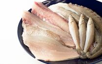 【魚千代】地魚詰合せ