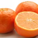 ＜4月より発送＞厳選セミノールオレンジ2.5kg+75g（傷み補償分）【樹上完熟】