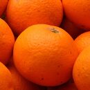 ＜4月より発送＞厳選きよみオレンジ2kg+60g　【光センサー選果】【樹上完熟清見オレンジ・清見タンゴール・清美】