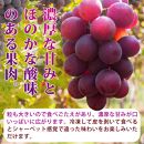 紀州有田産の巨峰ぶどう約３kg【先行予約】【2025年8月下旬以降発送予定】