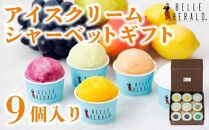 【バラエティセット】人気のアイスクリーム・シャーベット９個入り詰合せ