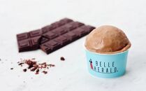 【ほどよい口どけ】アイスクリーム ベルギー産ダークチョコ使用 ６個入 上質なコクと香り 濃厚 スイーツ