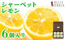 【爽快な甘酸っぱさ】レモンのシャーベット　６個入