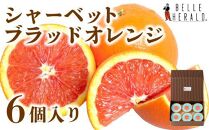【地中海の真っ赤な果実】ブラッドオレンジのシャーベット６個入