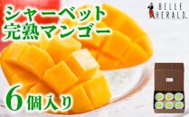 【マンゴー好きに贈る】完熟マンゴーのシャーベット　６個入