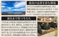 【カネ吉山本】近江牛　A4等級以上　すき焼き用　[リブロース]　（500ｇ）