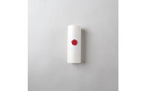 【南砺市】松井機業「城端しけ絹」美髪枕カバー　若草（緑）