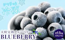 冷凍ブルーベリー1.5kg『大粒・完熟』おいしい品種厳選！