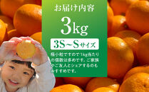 完熟&nbsp;小粒&nbsp;有田みかん&nbsp;3kg&nbsp;甘味凝縮&nbsp;和歌山県産&nbsp;産直45年&nbsp;武内園&nbsp;有田みかん&nbsp;みかん&nbsp;濃厚有田みかん&nbsp;濃厚みかん&nbsp;みかん&nbsp;小粒みかん&nbsp;小さいみかん&nbsp;みかん&nbsp;オレンジロードYY&nbsp;産直&nbsp;みかん&nbsp;和歌山みかん&nbsp;和歌山県産みかん&nbsp;みかん&nbsp;みかん&nbsp;有田みかん&nbsp;数量限定