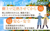 完熟&nbsp;小粒&nbsp;有田みかん&nbsp;5kg&nbsp;甘味凝縮&nbsp;和歌山県産&nbsp;産直45年&nbsp;武内園&nbsp;有田みかん&nbsp;みかん&nbsp;濃厚有田みかん&nbsp;濃厚みかん&nbsp;みかん&nbsp;小粒みかん&nbsp;小さいみかん&nbsp;みかん&nbsp;オレンジロードYY&nbsp;産直&nbsp;みかん&nbsp;和歌山みかん&nbsp;和歌山県産みかん&nbsp;みかん&nbsp;みかん&nbsp;有田みかん&nbsp;数量限定【みかん&nbsp;ミカン&nbsp;みかん&nbsp;mikan&nbsp;みかん&nbsp;ミカン&nbsp;みかん&nbsp;ミカン&nbsp;みかん&nbsp;ミカン&nbsp;みかん&nbsp;ミカン&nbsp;みかん&nbsp;ミカン】
