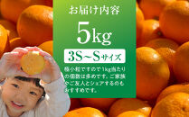完熟&nbsp;小粒&nbsp;有田みかん&nbsp;5kg&nbsp;甘味凝縮&nbsp;和歌山県産&nbsp;産直45年&nbsp;武内園&nbsp;有田みかん&nbsp;みかん&nbsp;濃厚有田みかん&nbsp;濃厚みかん&nbsp;みかん&nbsp;小粒みかん&nbsp;小さいみかん&nbsp;みかん&nbsp;オレンジロードYY&nbsp;産直&nbsp;みかん&nbsp;和歌山みかん&nbsp;和歌山県産みかん&nbsp;みかん&nbsp;みかん&nbsp;有田みかん&nbsp;数量限定【みかん&nbsp;ミカン&nbsp;みかん&nbsp;mikan&nbsp;みかん&nbsp;ミカン&nbsp;みかん&nbsp;ミカン&nbsp;みかん&nbsp;ミカン&nbsp;みかん&nbsp;ミカン&nbsp;みかん&nbsp;ミカン】