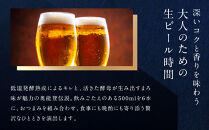 【復興支援】奥能登伝説500ml×6本プラスおつまみセット