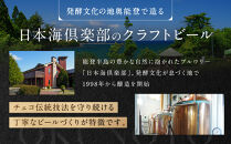 【復興支援】奥能登ビール500ml×9本セット