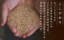 【復興支援】特別栽培米  奥能登こしひかり(玄米)  5ｋｇ