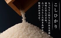 【復興支援】特別栽培米  奥能登こしひかり(精米)  5ｋｇ