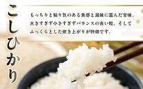【復興支援】【令和7年度産】奥能登柳田米こしひかり5kg