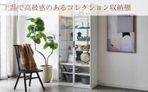 ヴァール 80cm幅 アルミ枠ガラス戸コレクション収納棚