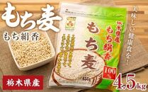 栃木県産もち絹香　もち麦　4.5kg（450g×10袋）