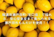 【訳あり】レモンゼリーすっぱ　10個セット