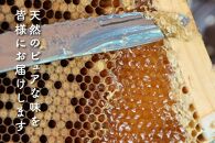 さいき養蜂園　天然ピュア蜂蜜　アカシア１ｋｇ　2本セット