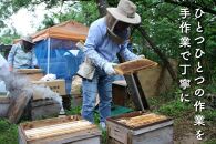 さいき養蜂園　天然ピュア蜂蜜　アカシア・そば各１ｋｇ