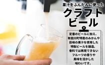 和歌山の地ビールブルーウッドブリュワリー飲み比べ6本セット