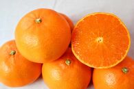 紀州有田産せとか約3kg　とろける食感！ジューシー柑橘【2025年2月下旬以降発送】【先行予約】【UT03】