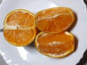 ふぁーむ傳の『バレンシアオレンジ』3kg（Lサイズ,Mサイズ混合）