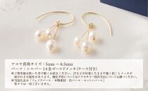 アコヤパール ピアス フックタイプ 5mm 6.5mmシルバー 14金メッキ　　