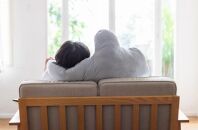 東山動植物園オリジナル　　　　　　　　　　　　　　　　　イケメンゴリラ〈シャバーニ〉腕枕クッション