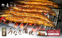 【炭火・職人手焼き】　国産うなぎ蒲焼　約160g×3尾・たれ・山椒　和食竜むら&nbsp;|&nbsp;土用の丑