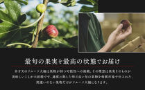 弁才天のフルーツ大福 6種詰め合わせ