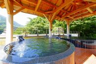 【箱根湯本温泉　天成園】日帰りペア招待券&nbsp;|&nbsp;利用券&nbsp;温泉利用券&nbsp;温泉&nbsp;日帰り&nbsp;露天&nbsp;露天風呂&nbsp;入浴&nbsp;ペア&nbsp;人気&nbsp;おすすめ&nbsp;チケット&nbsp;旅行&nbsp;トラベル&nbsp;ギフト&nbsp;プレゼント&nbsp;休暇&nbsp;人気&nbsp;おすすめ&nbsp;神奈川&nbsp;箱根