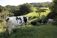 放牧育ちの牛たちの生乳をふんだんに使用した牧場手作りアイスクリーム16個セット