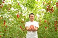 飯田農園　幻のトマト　有機栽培高糖度miuトマト[冷凍3000g]【有機JAS】