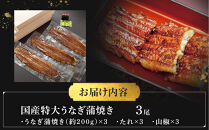 国産特大うなぎ蒲焼き（３尾）